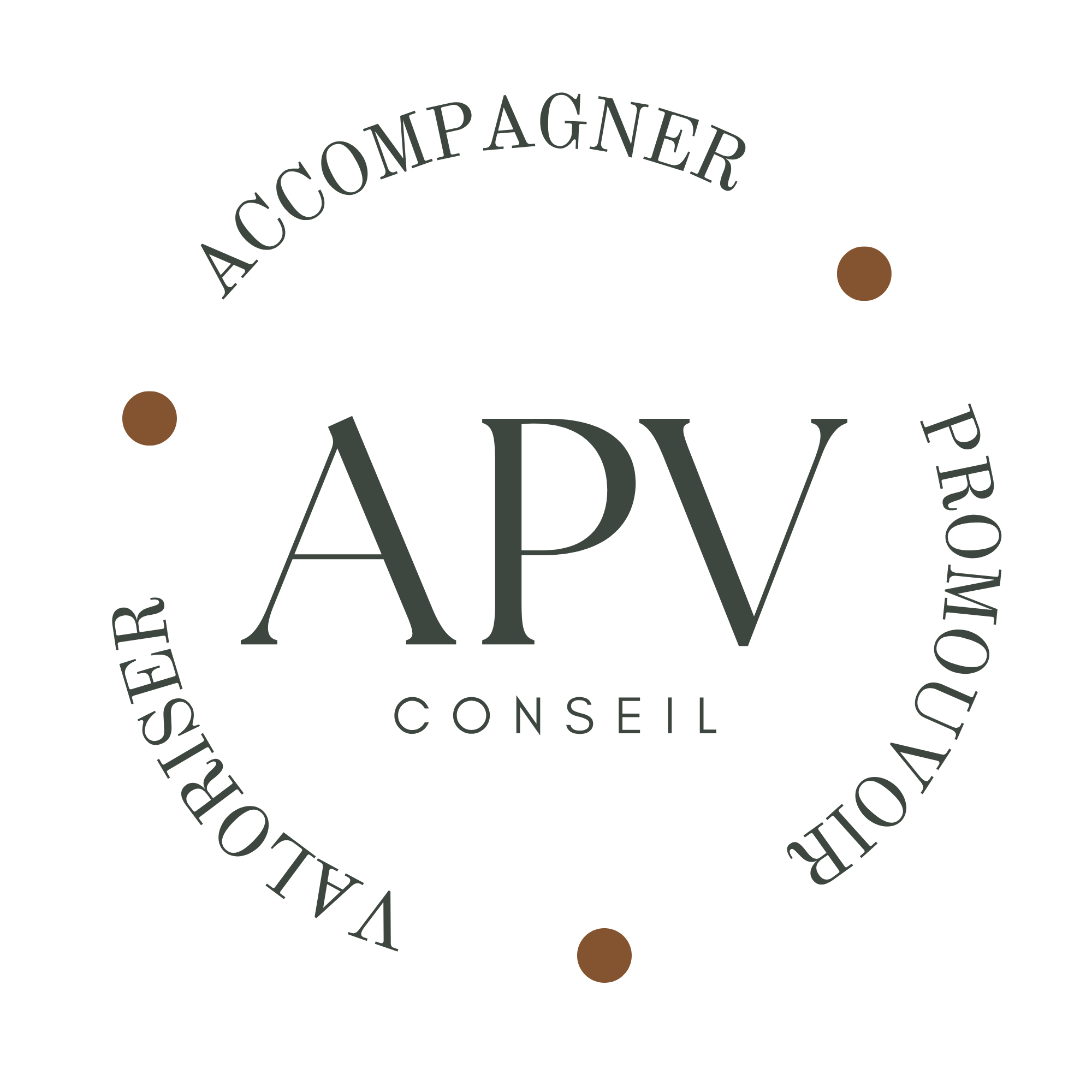 APV CONSEIL